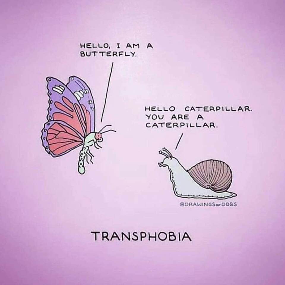 transphobia