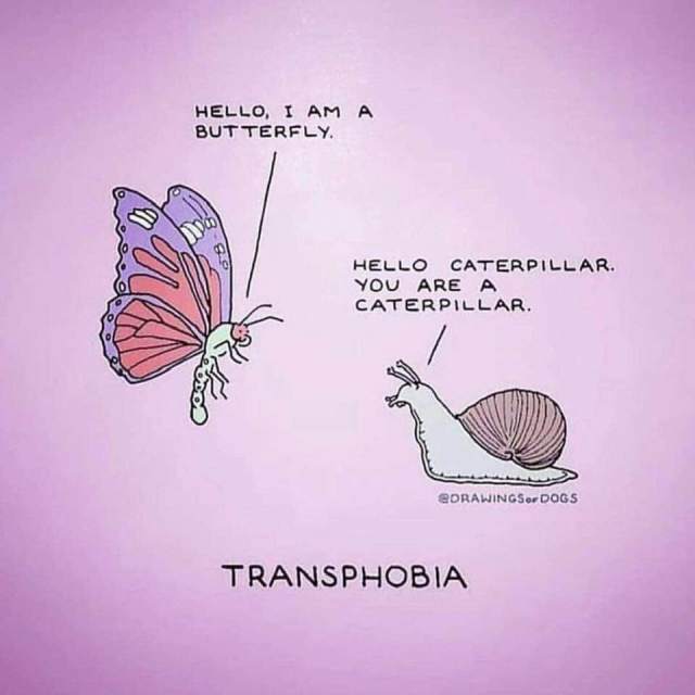 transphobia